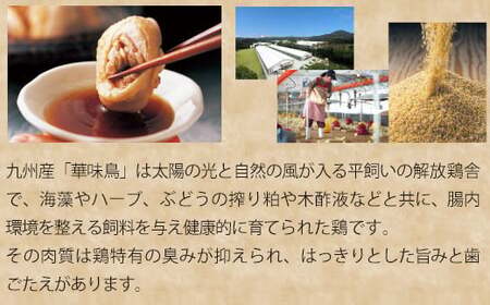 〈博多華味鳥〉 水たきセット 3～4人前 柚子胡椒付き(H-A1) [M877-1] 水炊き 鍋 人気 セット 肉 鶏 はなみどり ご当地グルメ 福岡 スープ