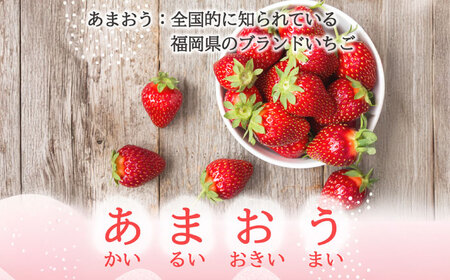 福岡県産あまおうパウダー 100ｇ いちご 粉末 製菓 糸島市 / 株式会社フルコンス[ALO002]