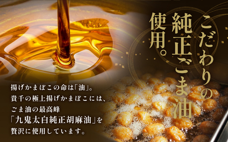 【ふるなびWEEK対象】揚げかまぼこ 竹 かまぼこ 