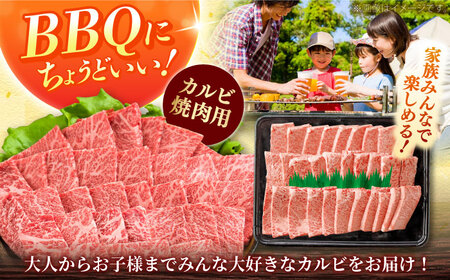 しまね和牛カルビ 500g [AIEA010] カルビ