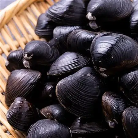 【市場直送!】青森十三湖産 冷凍砂抜き済み 大粒しじみ貝(250g×10P)【配送不可地域：離島】【1657208】