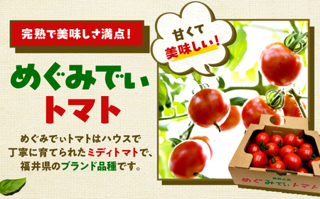 完熟 めぐみでぃトマト 3kg （毎週水曜日発送） / とまと トマト 完熟トマト 高糖度 トマト 取り寄せ / 小浜市 / 若狭の恵 【配送不可地域：離島】[BFAG030]