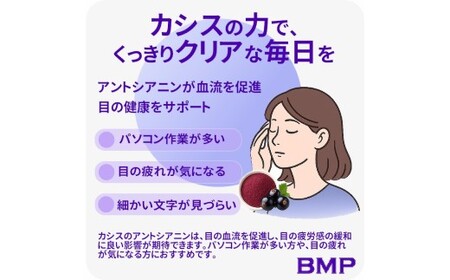 BMP カシスパウダー 3kg（100g×30袋）（カシス濃縮果汁粉末）