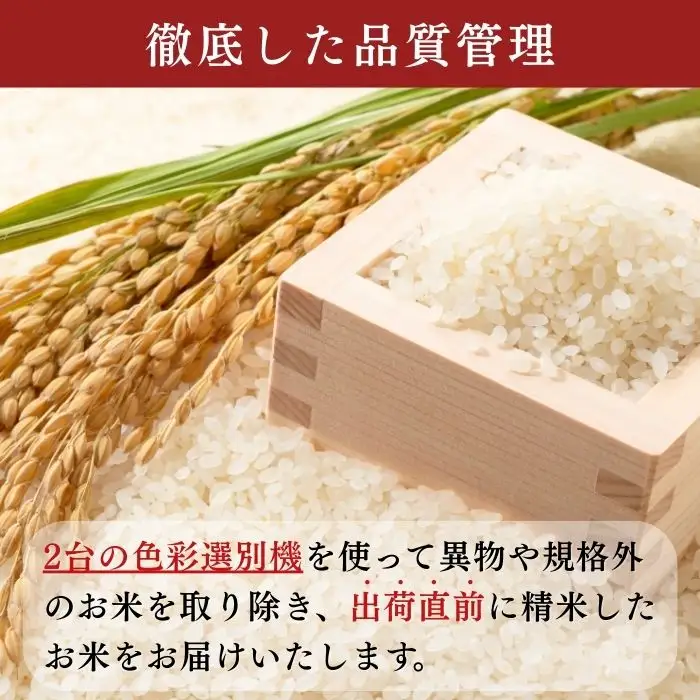 コシヒカリ 10kg【豊米】コシヒカリ 長野県 飯山市_7-53B