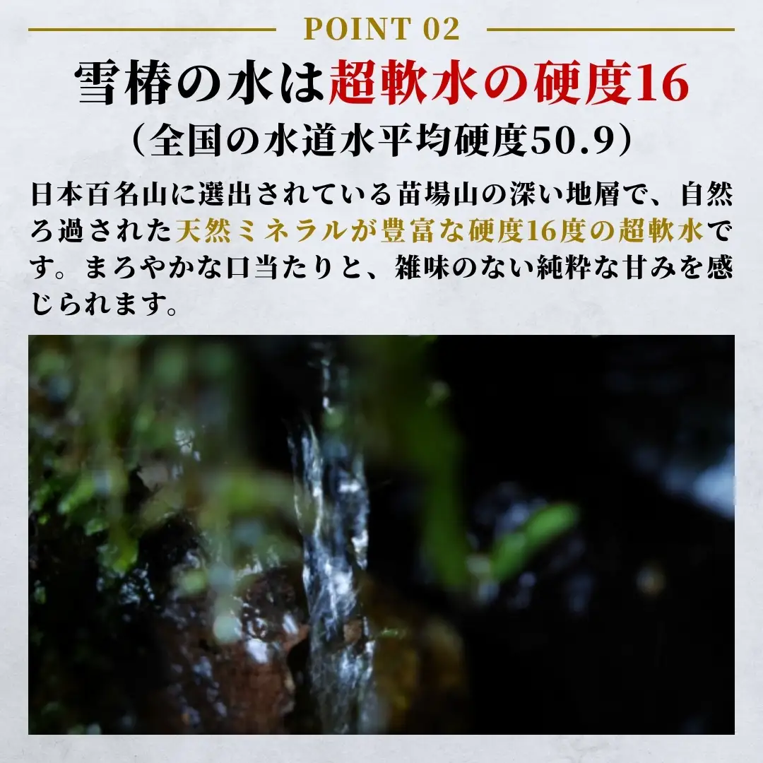 天然水 雪椿 2L×6本6ヶ月定期便|津南町 天然水
