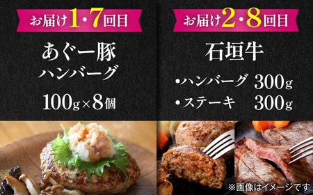 【全12回定期便】家族で満喫！沖縄のお肉贅沢セット【沖縄市】ハンバーグ あぐー 石垣牛 ステーキ 焼肉 冷凍 ギフト お取り寄せ 沖縄市 / お肉屋本店 / 豚々茶舗 / TESIO / 肉のサブロー[BCZZ035]