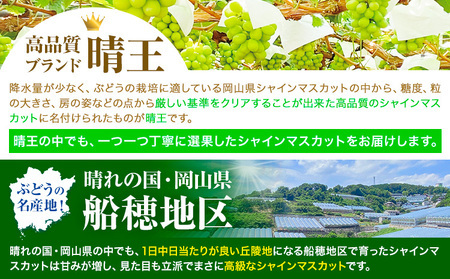 高級 シャインマスカット 2ヶ月 定期便【先行予約】ぶどう 晴王 1房600g×2ヶ月 計1.2kg 岡山県産《9月上旬-10月末頃出荷(土日祝除く)》 ハレノフルーツ マスカット 送料無料 岡山県 浅口市 フルーツ 果物 贈り物 ギフト 国産 岡山県産【配送不可地域あり】（北海道・沖縄・離島）