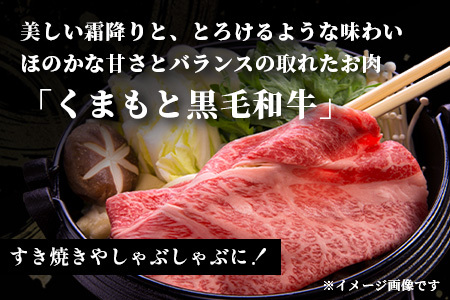 【ふるなび限定】くまもと黒毛和牛 赤身 スライス 500g FN-Limited-VO 113-0543