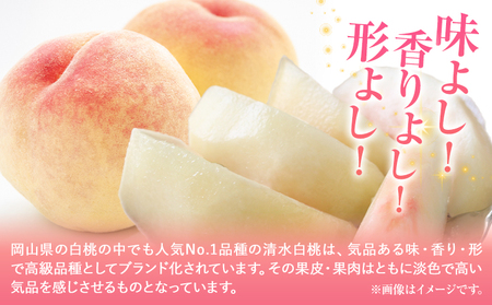 清水白桃 8玉 約2kg