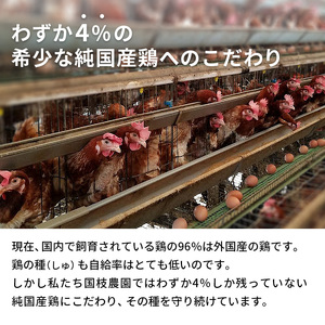 卵 わずか4%の希少な純国産鶏 いけだの森たまご 30個 こだわり おこめのたまご 玉子 鶏卵 生卵 産地直送 冷蔵配送 TKG 卵かけご飯 岐阜県産 