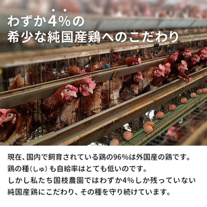 卵 わずか4%の希少な純国産鶏 いけだの森たまご 40個 こだわり おこめのたまご 玉子 鶏卵 生卵 産地直送 冷蔵配送 TKG 卵かけご飯 岐阜県産 