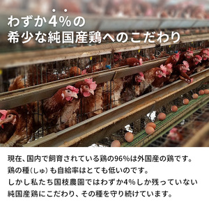 卵 わずか4%の希少な純国産鶏 いけだの森たまご 60個 こだわり おこめのたまご 玉子 鶏卵 生卵 産地直送 冷蔵配送 TKG 卵かけご飯 岐阜県産 