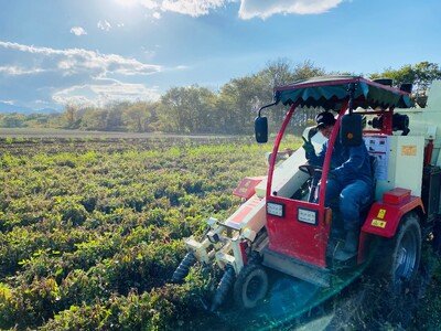 北海道十勝芽室町 ピーナッツバター・ピーナッツバター深煎り 2種×80g me009-009c 落花生 らっかせい  豆 ピーナッツ ナッツ おやつ 旬 国産 北海道十勝芽室町 