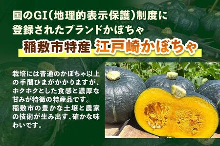 江戸崎かぼちゃを使った「かぼちゃジェラート」6個セット [1663]