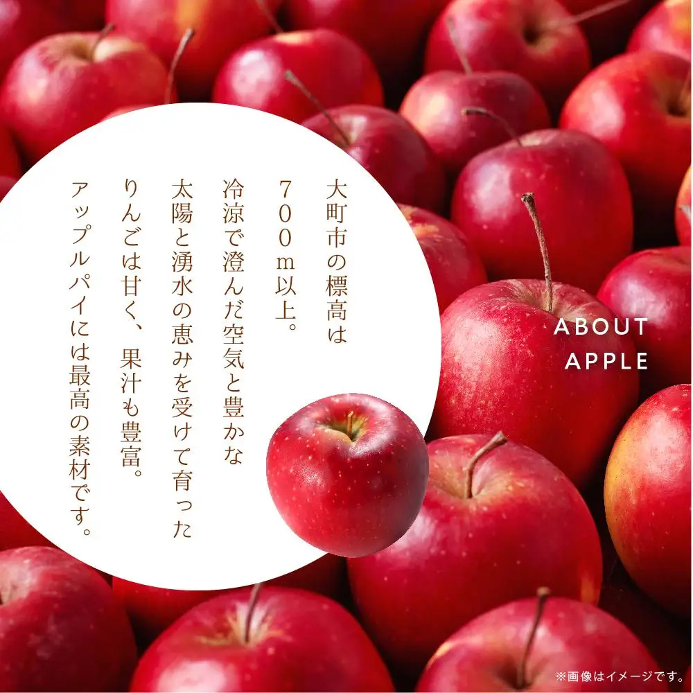 お菓子 焼菓子 アップルパイ 5号 ( 約15cm ) 1台 信州 立田屋 | りんご アップルパイ ケーキ 長野