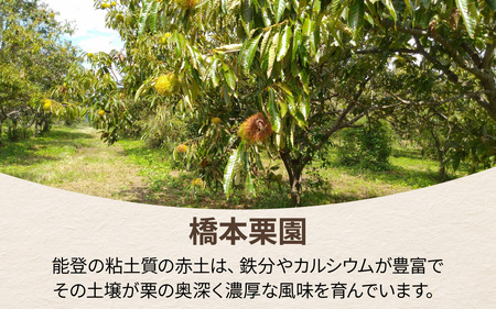 【先行予約】橋本栗園の能登栗（むき栗） 250g × 2パック 計500g / 和栗