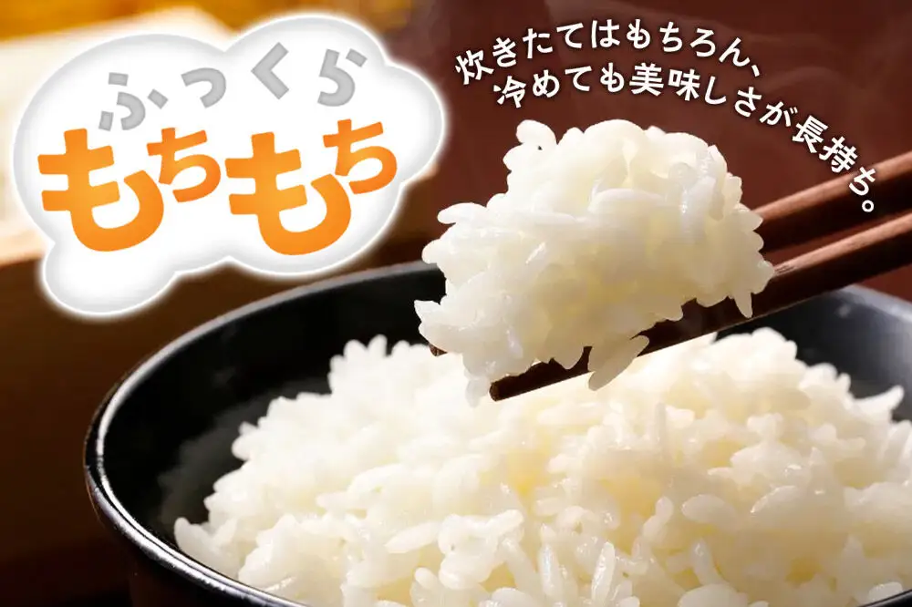 【令和８年産 新米予約】あきたこまち 精米 10kg（5kg×2袋） 秋田県北秋田市産 白米