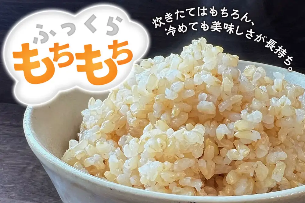 【令和８年産 新米予約】あきたこまち 玄米 10kg（5kg×2袋） 秋田県北秋田市産 