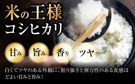 【令和7年産】こしひかり 10kg 【スピード発送】アグリ君田 [APDC002] コシヒカリ