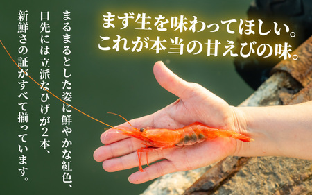 【簡易包装】ちょっと贅沢なご褒美を～ むき甘えび 3種 (そのまんま・醤油漬け・生姜漬け) 【冷凍】 120g × 3袋 【甘海老 あまえび アマエビ えび 海老 剥きエビ 剥き身 お刺身 生食 海鮮 海産物 魚介類 新鮮 冷凍便】 [A-13515]