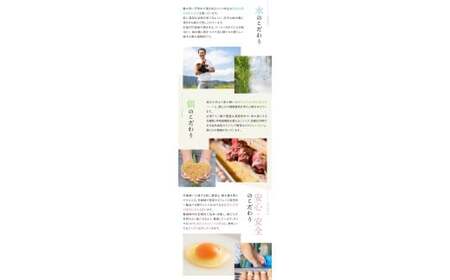 たいまのけはやたまご　30個入　3ヶ月定期便　／　定期便　たまご　生卵　奈良県　葛城市【tegg-tkb004】