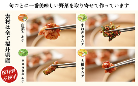 リピーター続出！定番キムチ 詰め合わせ 4種類 セット [A-177002] / 計1100g 定番 白菜 大根 きゅうり 小ねぎ 本場 韓国 母の味 キムチ 国産 送料無料