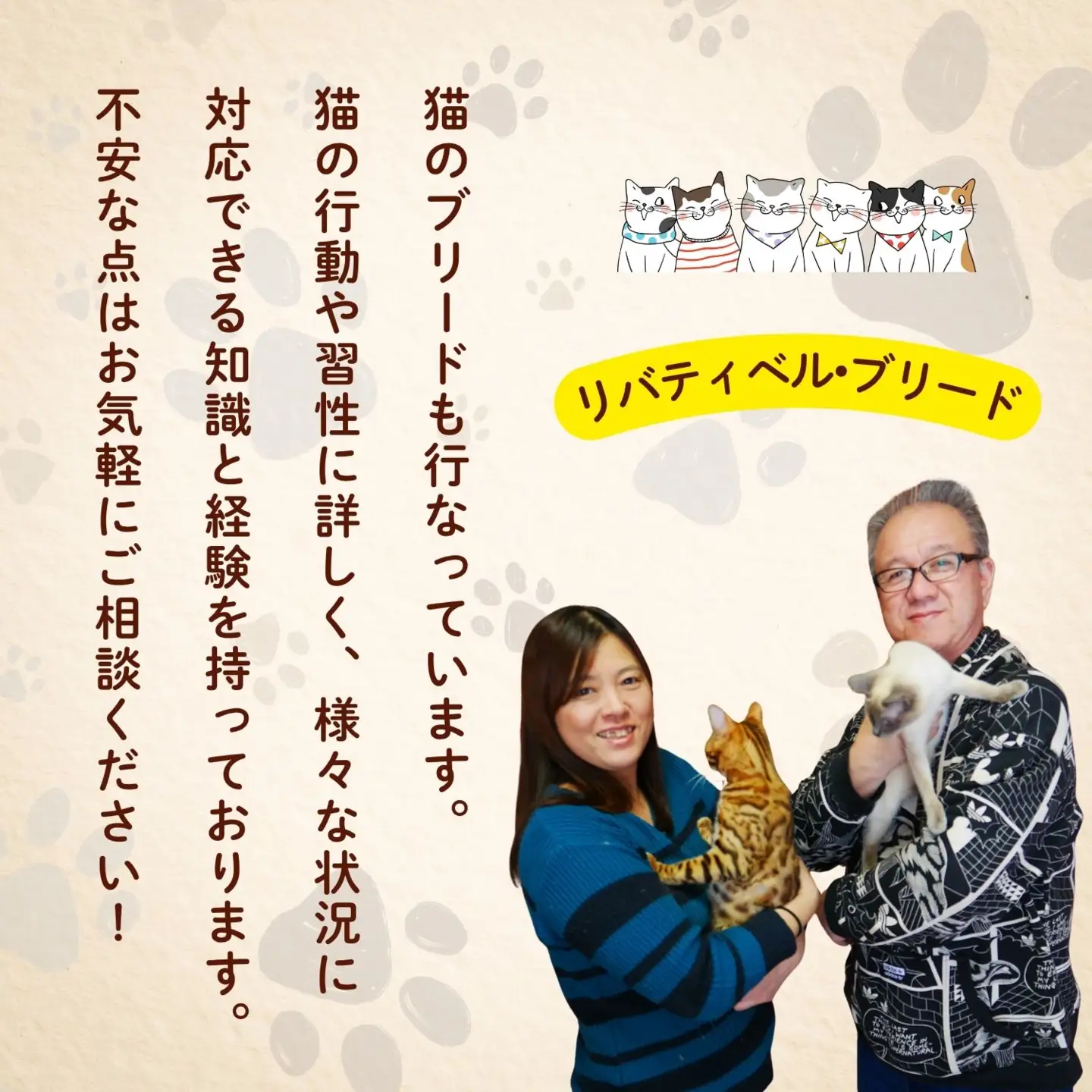 【長野県飯山市】にゃんほてる（猫専用ペットホテル） リバティベル 利用券3,000円分（T-17） 