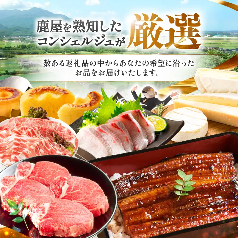 コンシェルジュプラン 寄付額50万円コース KN000-CP050 選べる