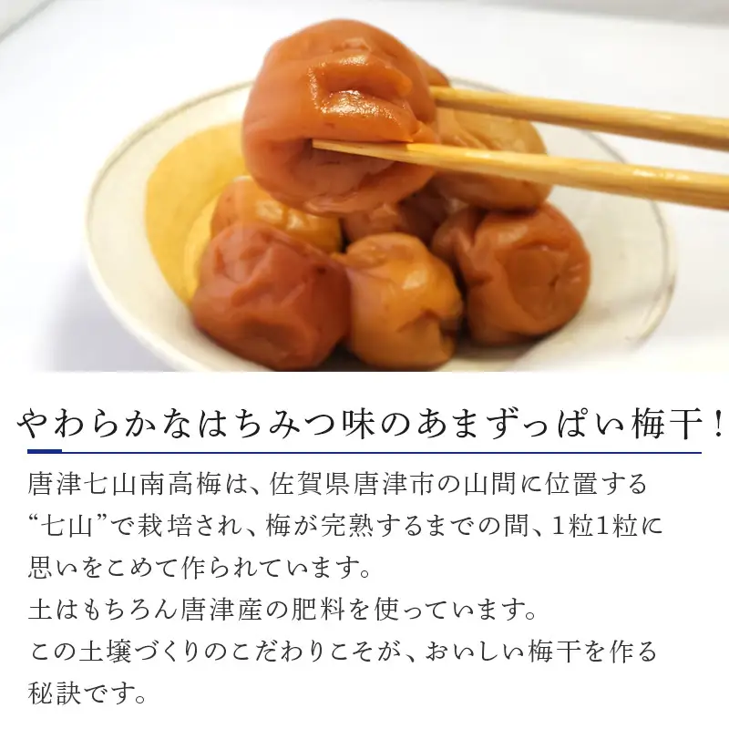 唐津七山 南高梅大粒はちみつ味 500g×2(合計1kg)「 irodoriからつ 四季の返礼品」山間から湧き出る澄んだ水をふんだんに含んだ土壌で栽培