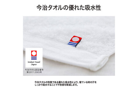 （今治タオルブランド認定）今治バスタオルピロー （バスタオル5枚＋ピローベース） [I002840]