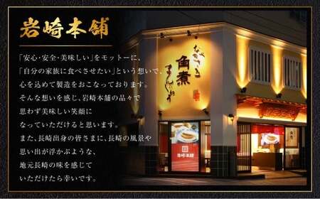 【7営業日以内発送】長崎角煮まぶし 10袋 ／ 岩崎本舗 1袋あたり100g 豚肉 お肉 甘辛 タレ たれ 惣菜 おかず 丼 小分け 長崎県 長崎市