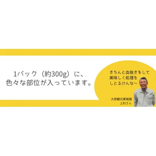 新見産 天然猪肉 極上詰め合わせ スライス肉 約300g×3 【12月上旬～8月下旬頃発送】