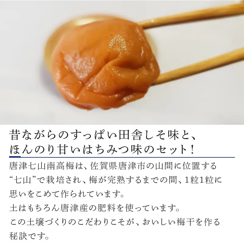 唐津七山 南高梅2種食べ比べ 500g×2(合計1kg)「irodoriからつ四季の返礼品・はちみつ味・田舎しそ味」山間から湧き出る澄んだ水をふんだんに含んだ土壌で栽培