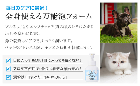 arfoam（ｱﾙﾌｫｰﾑ）300ml
