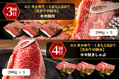【定期便6回】エシカル和牛・くまもとあか牛《あか牛の極み 堪能》 定期便 (合計 3.4kg) SDGs 033-0518