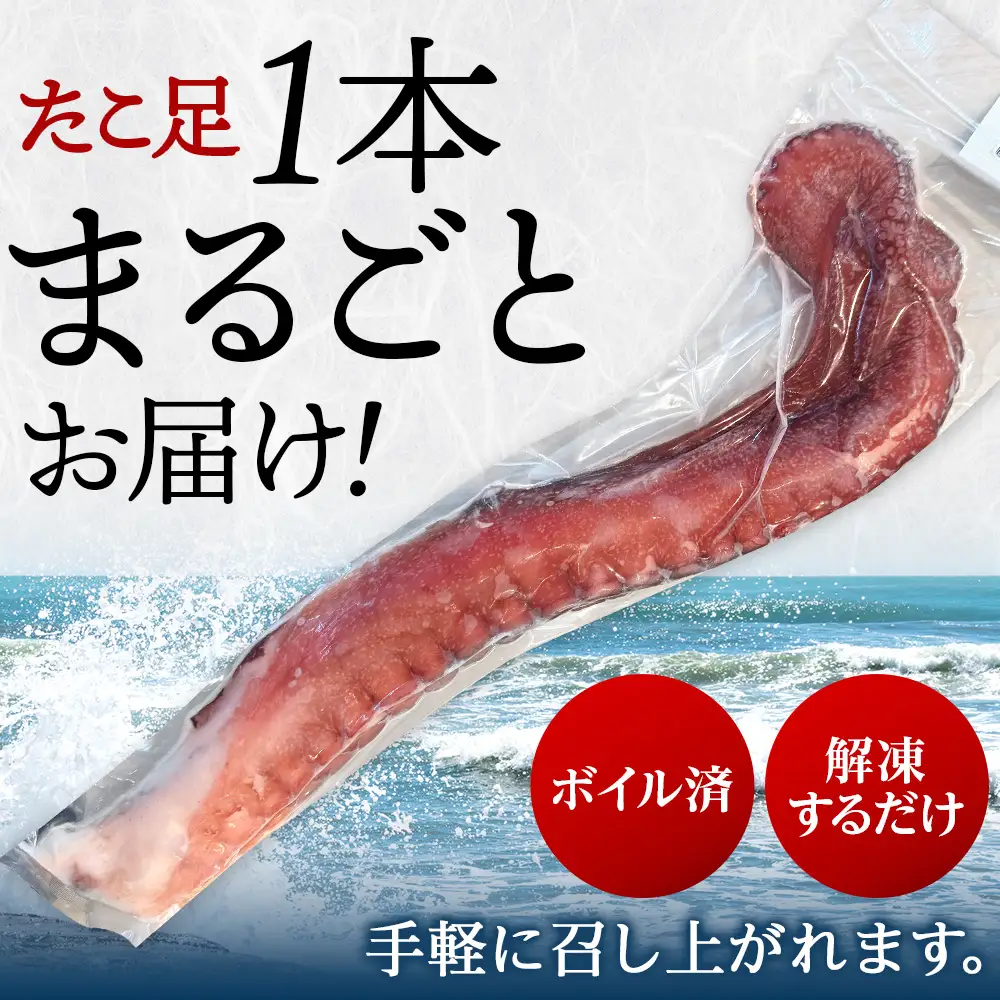 北海道天塩町 煮たこ 足 700ｇ前後＜天塩の國＞
