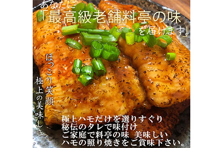 鱧の照り焼き(100g×5切れ)【冷凍】【A-44】