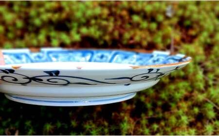 有田焼 渕錆藍椿縁紋様図 24cm 皿 ～華一園シリーズ～【西山錦華堂】食器 器 うつわ 皿 プレート ツバキ 椿 手描き 55000円 A55-146