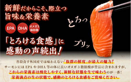 国産 プレミアム ワンフローズントラウトサーモン 1.6kg_T022-1479