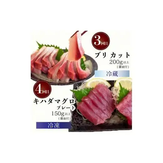 【 刺身 】 刺身定期便4ヶ月