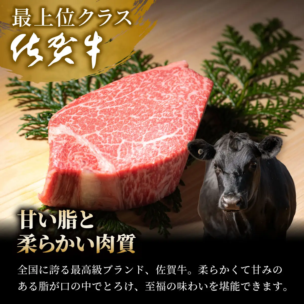 佐賀牛シャトーブリアン計12kg