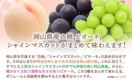 【2026年発送先行予約】桃 シャインマスカット ピオーネ 詰め合わせ 約1.8kg クール便 冷蔵便 桃 もも 葡萄 ブドウ ぶどう マスカット フルーツ セット 先行予約 晴れの国おかやま館 《2026年8月下旬-9月中旬頃出荷》 フルーツ 果物 果実 岡山県 矢掛町
