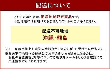【持ち運べるステーキ】奈義和牛の旨味が凝縮された ゴロッと奈義ビーフジャーキー ブロック 100g×1パック【業務用・家庭用】