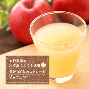 りんご ジュース 6本 × 各1000ml 大町産 箱入り りんごジュース 長野 信州