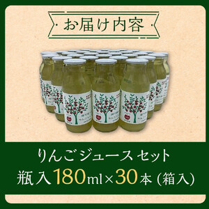 りんご ジュース セット 30本 × 180ml 大町産 大町産 箱入り りんごジュース 長野 信州