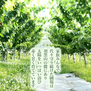 【令和8年産先行予約】　山形県 鶴岡市産 さくらんぼ 「紅秀峰」 (2Lサイズ以上) バラ詰め 1kg (500g×2)  榎本菜園　K-866