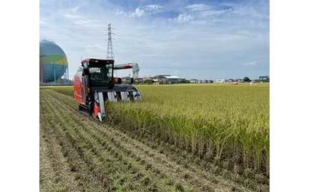 【令和7年産】有機肥料 100％ 埼玉県幸手市産特別栽培コシヒカリ 玄米 5kg - 2025年10月1週目より順次発送 新米発送 コシヒカリ こしひかり 米 玄米 5kg 有機肥料 特別栽培幸手市産 埼玉県 幸手市