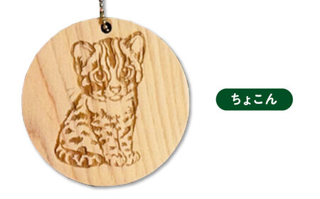 対馬 ひのきーホルダー 3種セット 《対馬市》【一般社団法人MIT】 ツシマヤマネコ キーホルダー 雑貨[WAP025]