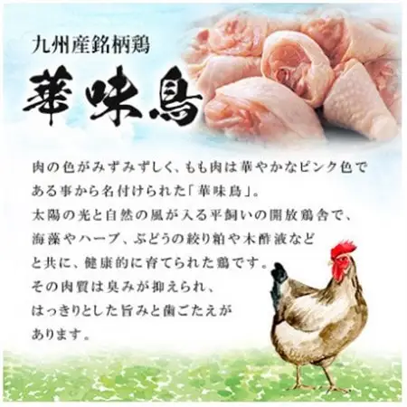 【毎月定期便】博多華味鳥 水たきセット 3～4人前 柚胡椒付(大野城市)全3回【配送不可地域：離島】【4074398】