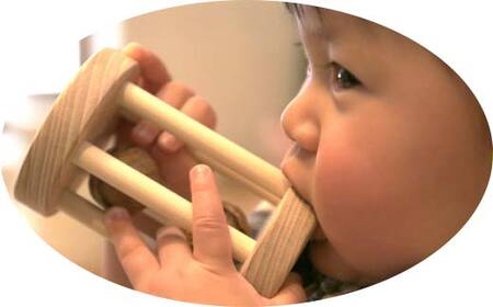 【ＫＥＭ】クルミコロコロL HOKKAIDO WOOD 木製 おもちゃ オモチャ 自然 子供 子ども こども プレゼント F6S-710